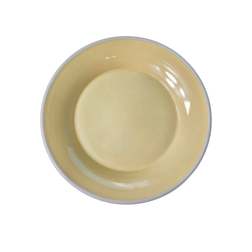 Set of 2- SONOMA Life + Style Mendocino Butter 11 3/4" Dinner Plate Heavy